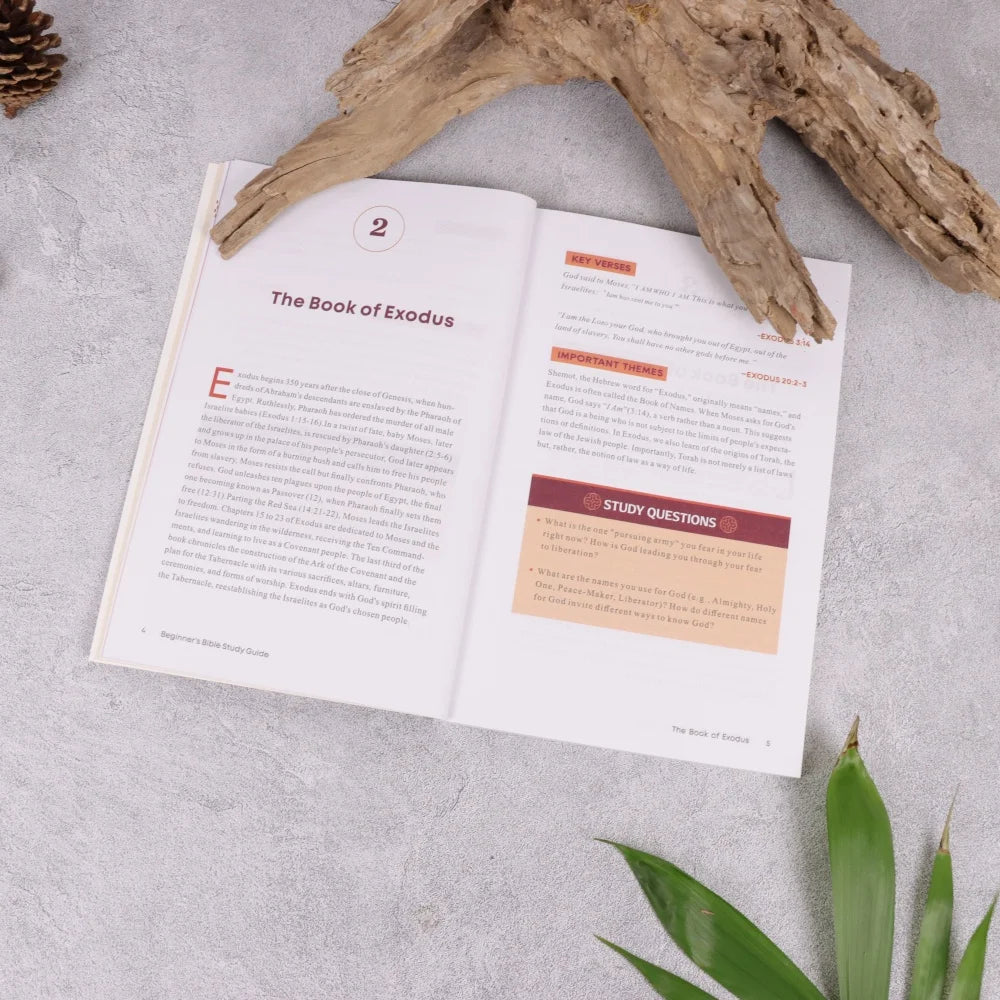 Beginner’s Bible Study Guide – Introduction to All 66 Books